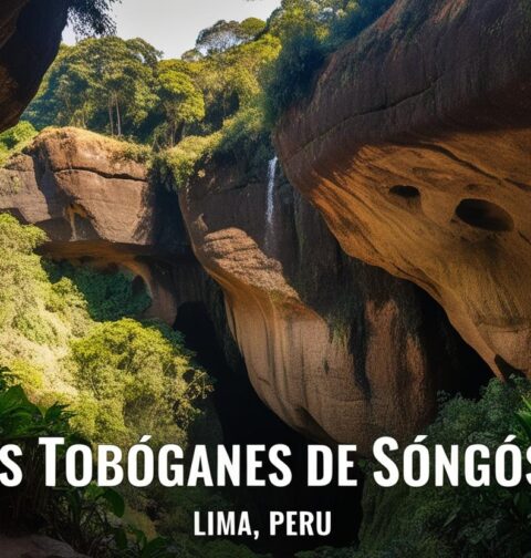 los toboganes de songos